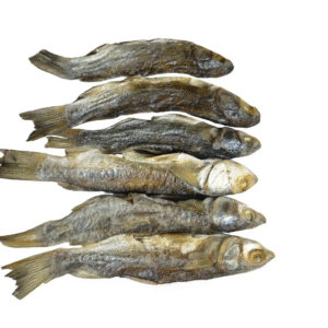 Grey mullet Sun dry fishes