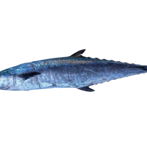 KING FISH