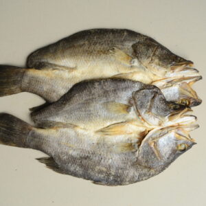 seabass dry fish