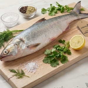 Indian salmon fish